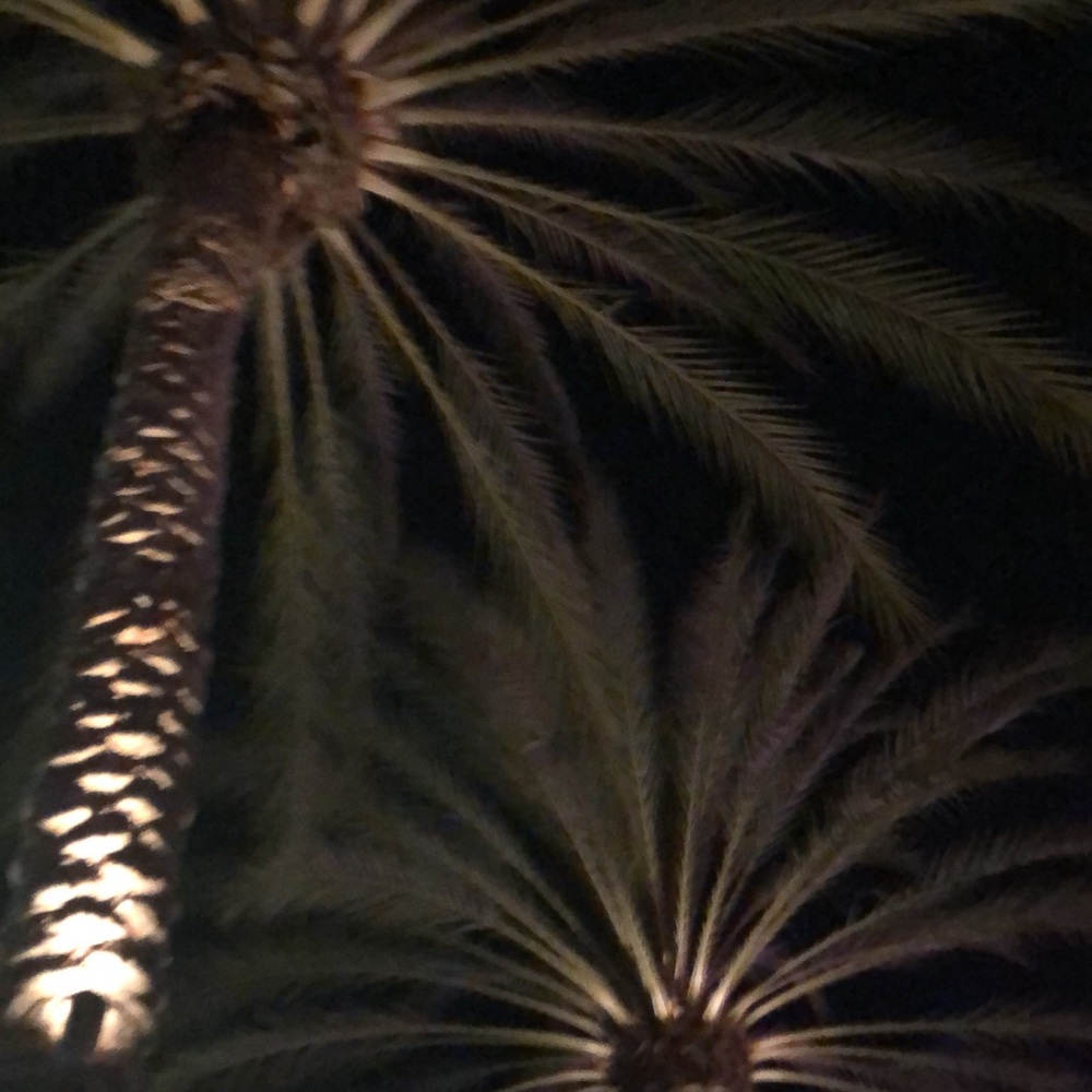 Meet your Posher, Karla